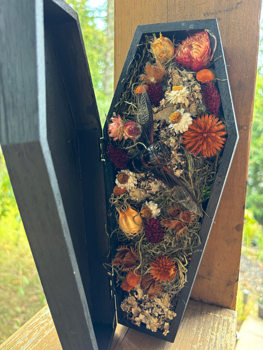 Bat cicada hanging coffin arrangement