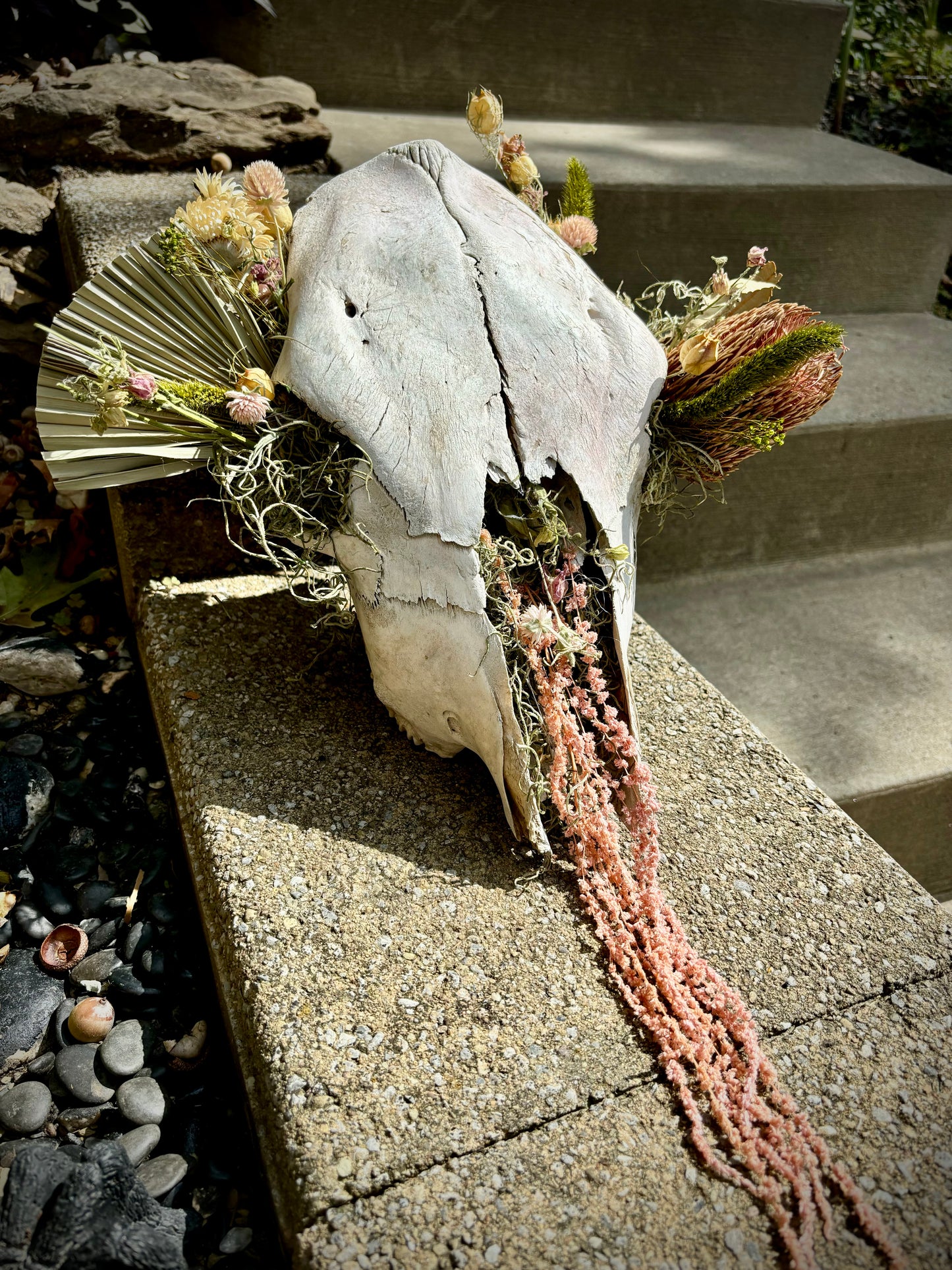 Desert {flowers of the dead} cow skull