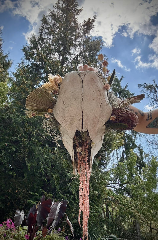 Desert {flowers of the dead} cow skull