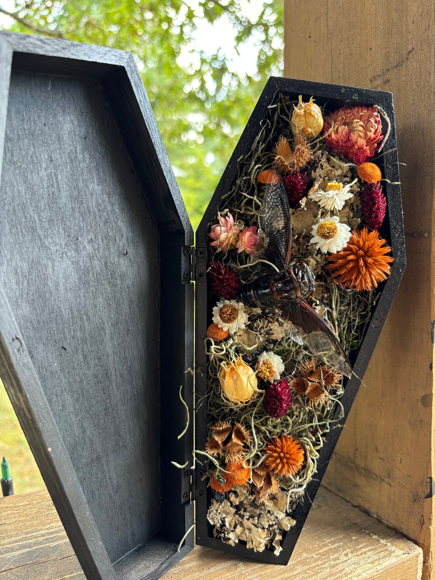 Bat cicada hanging coffin arrangement