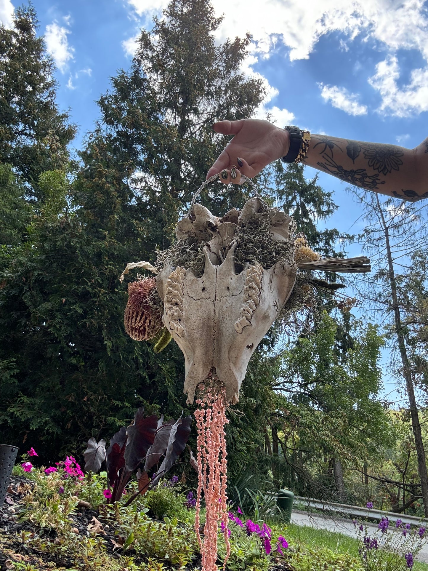 Desert {flowers of the dead} cow skull